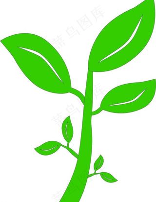 小树干上面的叶子图片