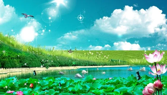 荷花背景图图片