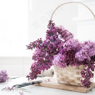 简约小清新文艺风插花静物摆拍背景