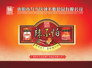辣椒食品公司画册封面PSD分