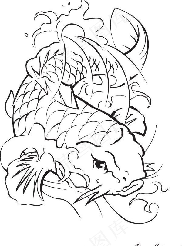 一个生动的鲤鱼线绘制矢量素材