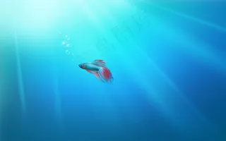 高清电脑桌面背景壁纸