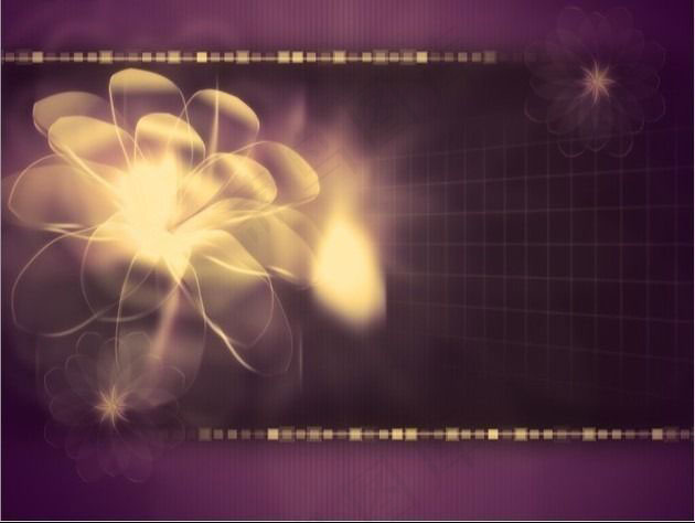 金光的盛开花朵