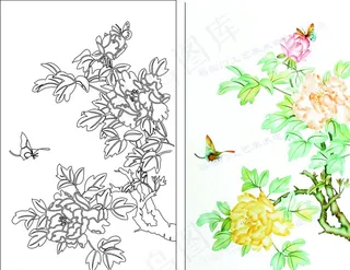 双线 牡丹花图片