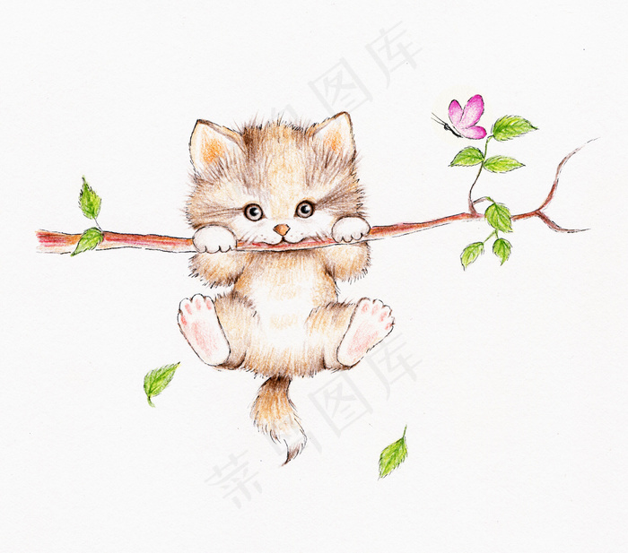 吊树枝的水彩猫图片