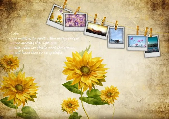 向日葵的春天图片psd模版下载