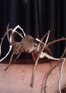蚊虫的虫子3D模型metalcra... 蚊虫的虫子3D模型metalcra...