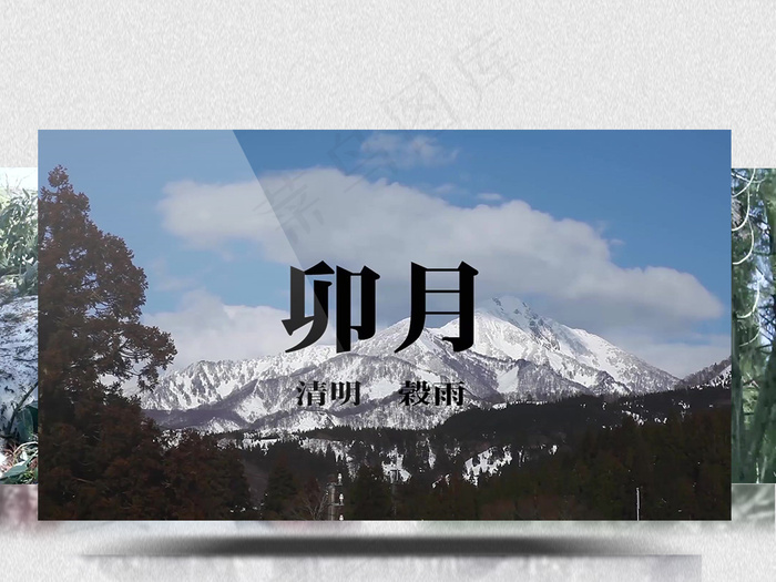 公益宣传片清明时节合理砍伐树木