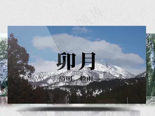 公益宣传片清明时节合理砍伐树木