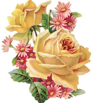 复古玫瑰花图片