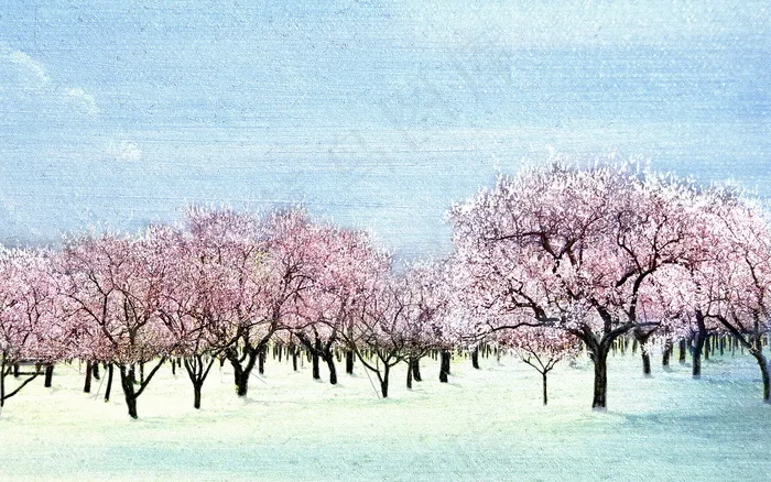 油画 早春 桃花