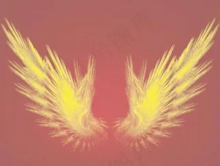光束翅膀笔刷图片