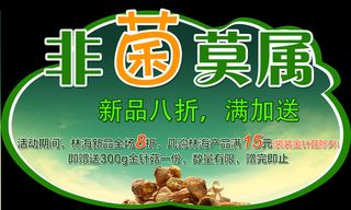 非菌莫属异型吊牌异型折页