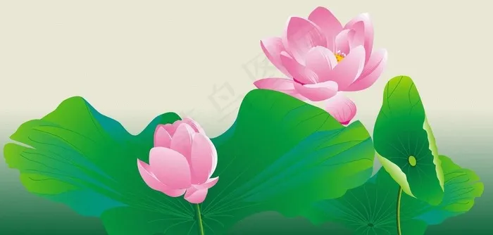夏日清凉荷花图图片cdr矢量模版下载