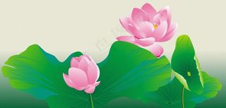 夏日清凉荷花图图片