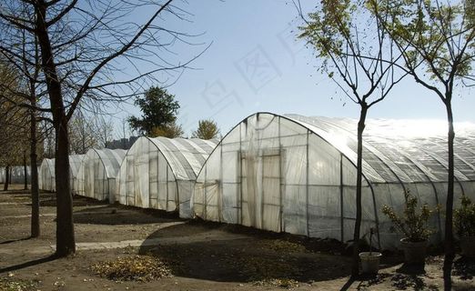 暖棚图片