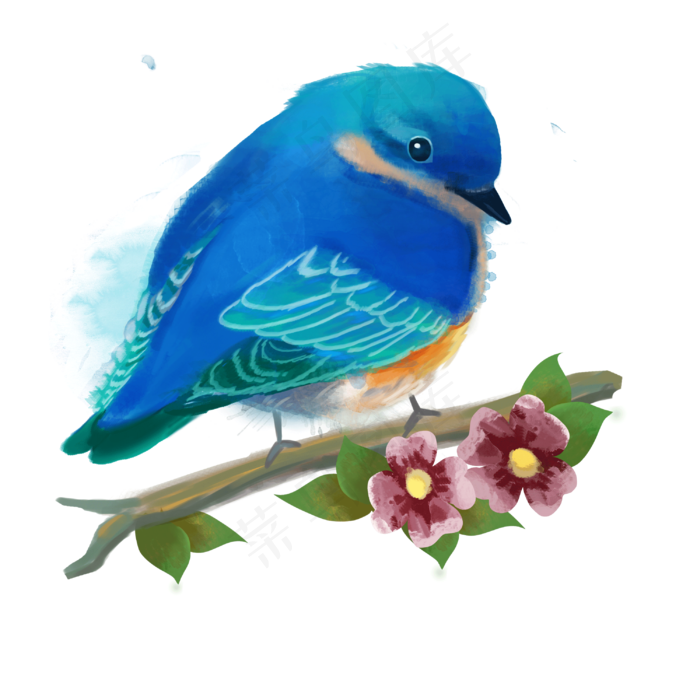 手绘水彩动物植物鸟与花卉手绘水彩动物植物鸟与花卉