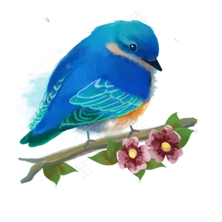 手绘水彩动物植物鸟与花卉手绘水彩动物植物鸟与花卉