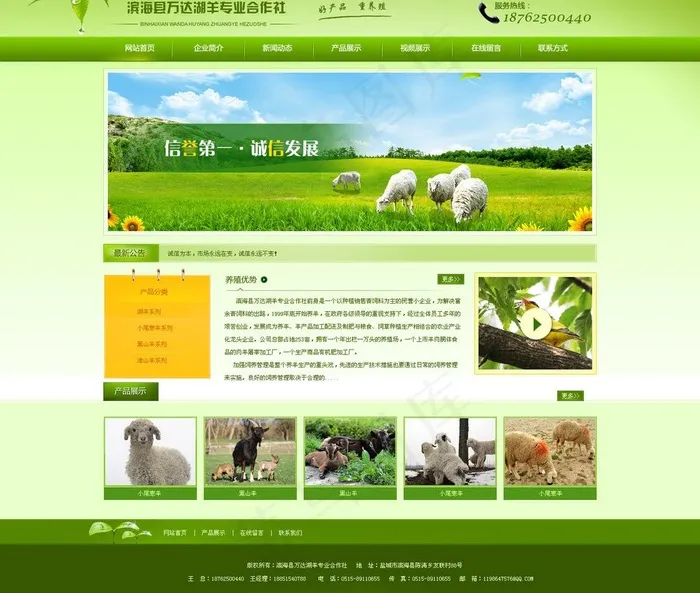网效首页效果图图片psd模版下载