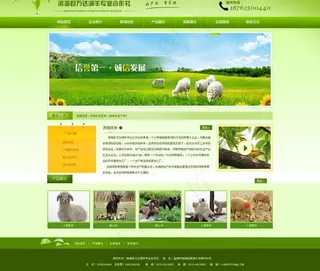 网效首页效果图图片