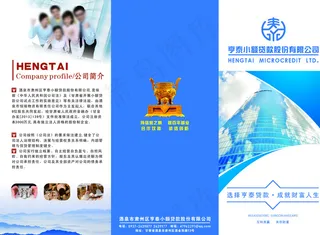 小额贷款公司三折页图片
