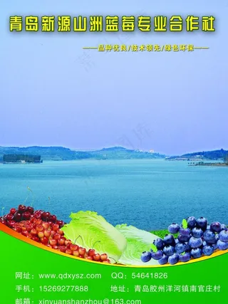 农产品宣传彩页图片