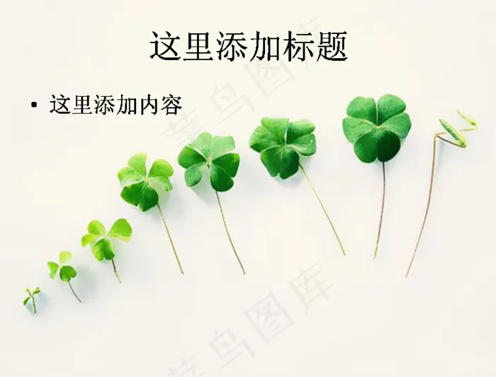 小清新范的三叶草电脑PPT(6)...