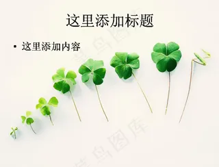 小清新范的三叶草电脑PPT(6)...