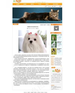 宠物网站内页模板图片