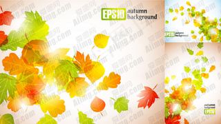 秋天树叶秋季矢量素材