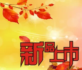 新品上市