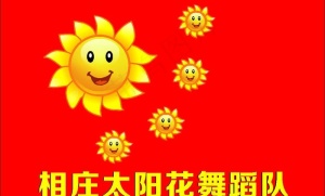 太阳花图片