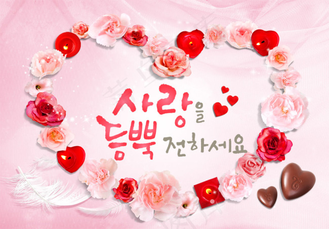 情人节玫瑰心语