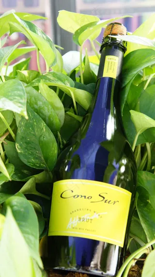 柯诺苏红酒图片