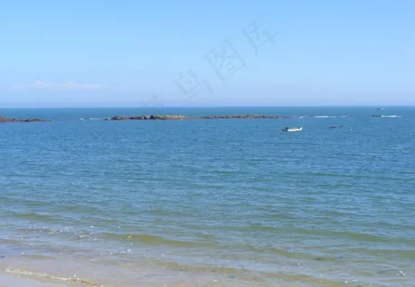 大海 海鸥图片 大海 海鸥图片