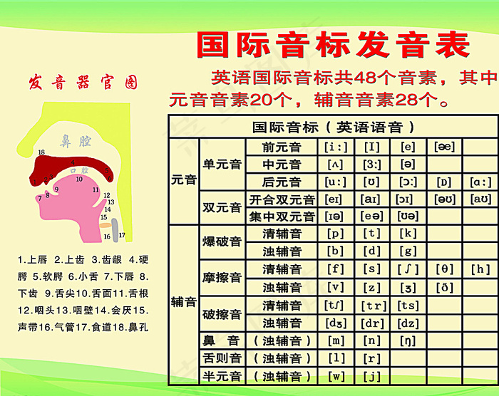 国际音标发音表图片psd模版下载