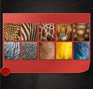 10种动物皮毛纹理填充图案