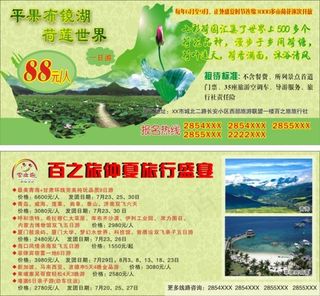 荷花莲花旅游宣传单