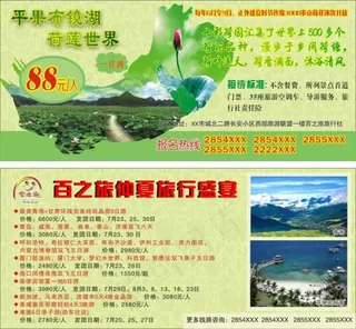 荷花莲花旅游宣传单