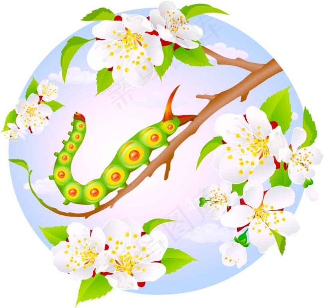 杏花树枝上的小虫