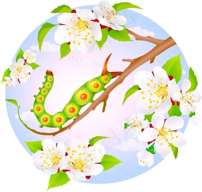 杏花树枝上的小虫eps,ai矢量模版下载