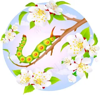 杏花树枝上的小虫