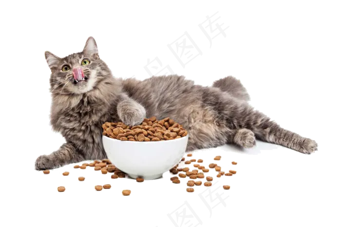 卡通多款猫咪造型设计PNG素材搞怪...(1100X733)