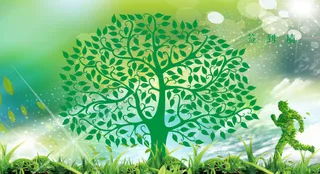 树叶创意签到墙