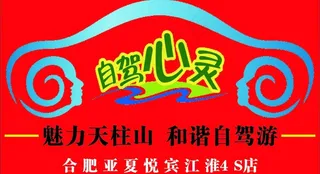 汽车自驾袖贴图片