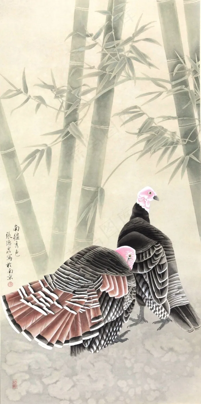 竹林火鸡图片 竹林火鸡图片