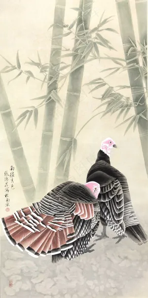 竹林火鸡图片 竹林火鸡图片