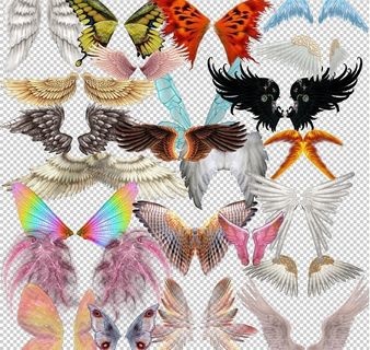 各种翅膀psd源文件图片