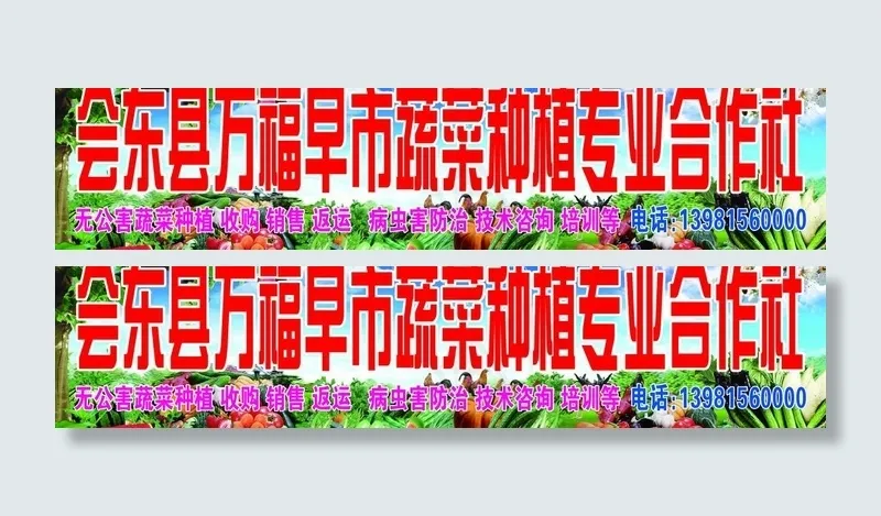 万福早市蔬菜种植专业合作社图片