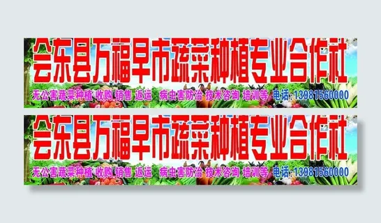 万福早市蔬菜种植专业合作社图片